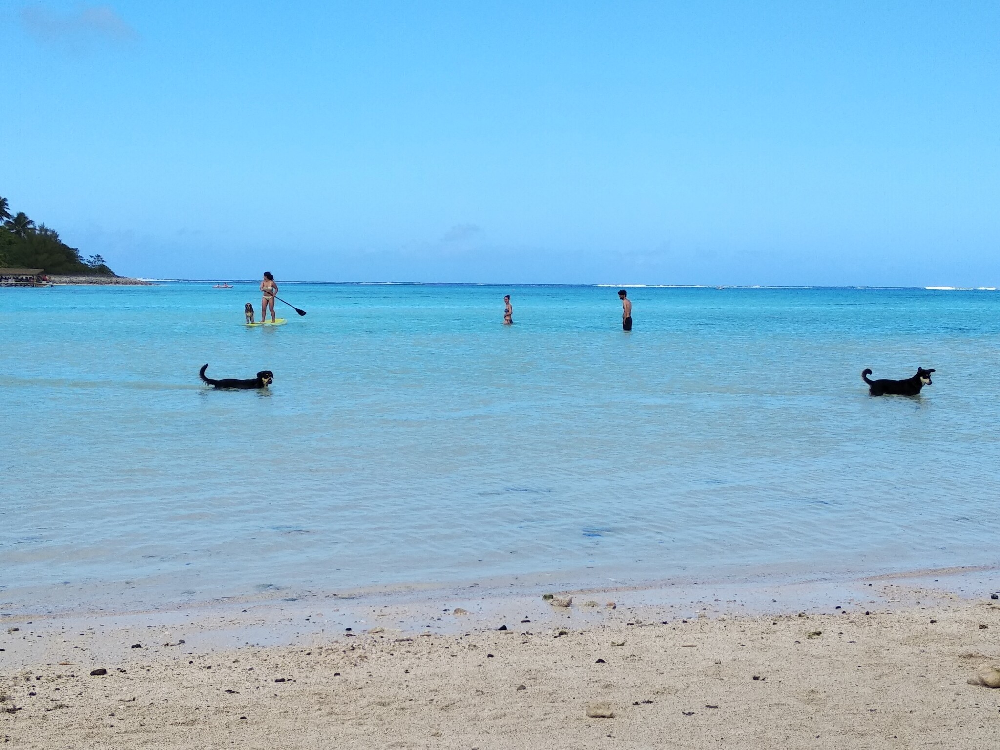 IMG_20190809_135330